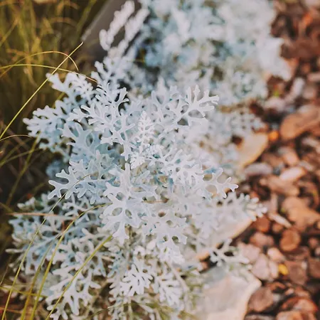 Ξενοδοχείο Bell Repos Platja d'Aro