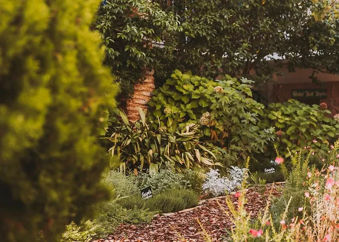 Bell Repos Hotel Platja d'Aro