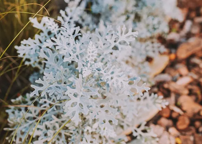 Готель Bell Repos Платжа-д'Ару